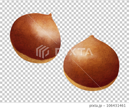 Sweet and delicious chestnut watercolor illustration Autumn food and nature Sweet and delicious chestnut watercolor illustration Autumn food and nature 106431461
