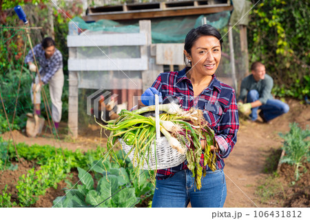 Portrait of woman farmer with basket of vegetables on field 106431812