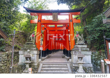 京都　伏見稲荷大社　稲荷大神の鳥居　千本鳥居 106432587