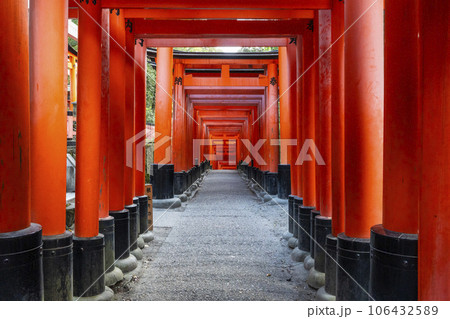 京都 伏見稲荷大社 密に立ち並ぶ千本鳥居 京都 伏見稲荷大社 密に立ち並ぶ千本鳥居 106432589