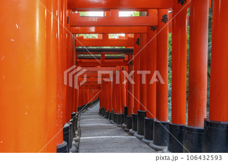 京都　伏見稲荷大社　密に立ち並ぶ千本鳥居 106432593