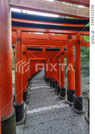 京都　伏見稲荷大社　密に立ち並ぶ千本鳥居 106432596