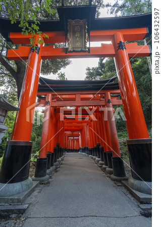 京都 伏見稲荷大社 稲荷大神の鳥居 密に立ち並ぶ千本鳥居 京都 伏見稲荷大社 稲荷大神の鳥居 密に立ち並ぶ千本鳥居 106432597