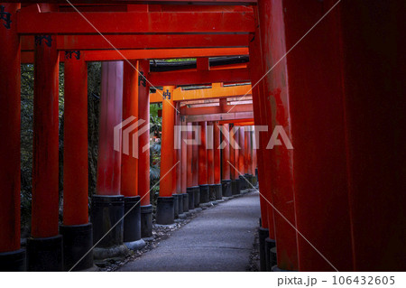 京都 伏見稲荷大社 密に立ち並ぶ千本鳥居 京都 伏見稲荷大社 密に立ち並ぶ千本鳥居 106432605