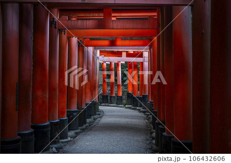 京都　伏見稲荷大社　密に立ち並ぶ千本鳥居 106432606