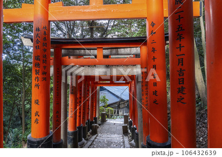 京都 伏見稲荷大社 千本鳥居 三ツ辻から四ツ辻への写真素材 [106432639