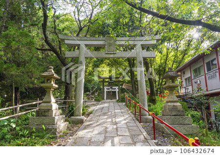 京都　伏見稲荷大社　末廣大神　参道（茨谷エリア） 106432674