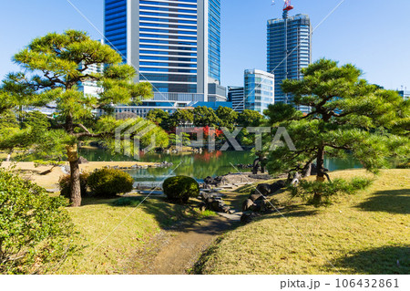 晩秋の東京港区　紅葉の旧芝離宮恩賜庭園 106432861
