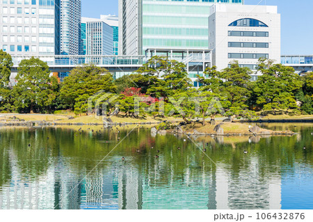 晩秋の東京港区 紅葉の旧芝離宮恩賜庭園 晩秋の東京港区 紅葉の旧芝離宮恩賜庭園 106432876