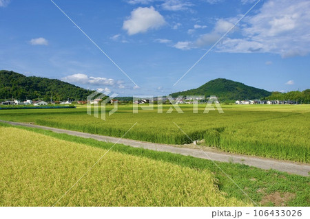 夏の終わりの農村風景と住宅 106433026