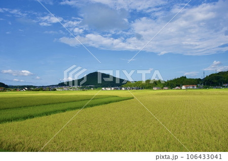 夏の終わりの農村風景と住宅 106433041