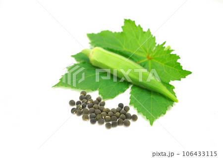 オクラの種 オクラの種 106433115