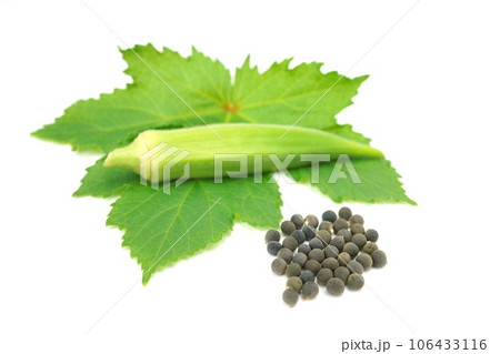 オクラの種 オクラの種 106433116