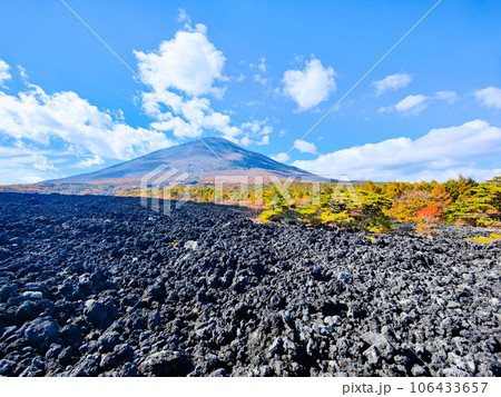 焼走り熔岩流と岩手山（秋） 106433657