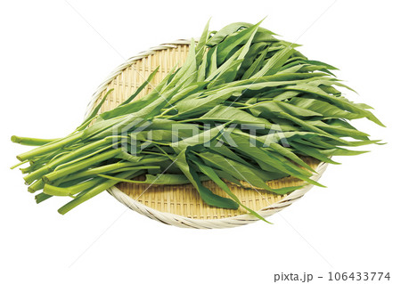 クウシンサイ01(パス付) クウシンサイ01(パス付) 106433774