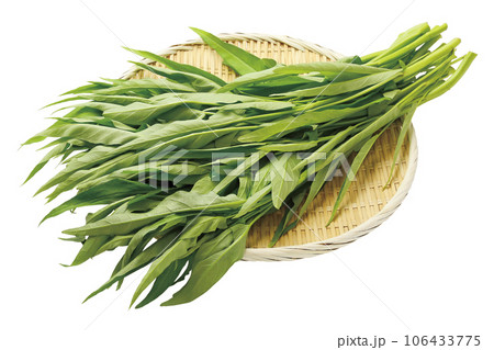 クウシンサイ02(パス付) クウシンサイ02(パス付) 106433775