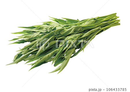 クウシンサイ09(パス付) クウシンサイ09(パス付) 106433785