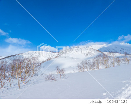 新雪に覆われた山野 (北海道、俱知安町、イワオヌプリ周辺) 新雪に覆われた山野 (北海道、俱知安町、イワオヌプリ周辺) 106434123