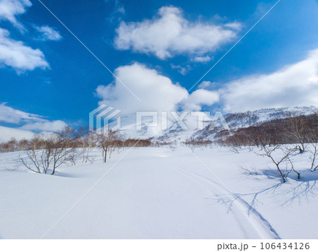 新雪に覆われた山野 (北海道、ニセコアンヌプリ北斜面側) 106434126