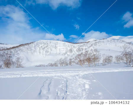雪原に残る滑走跡と足跡の丁字路 (北海道、倶知安町、イワオヌプリ周辺) 106434132