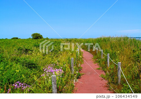 快晴のキムアネップ岬　北海道 106434549