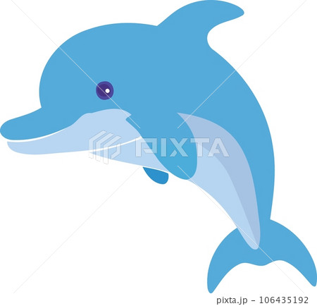 aquatic animal dolphin blue fluffy 106435192