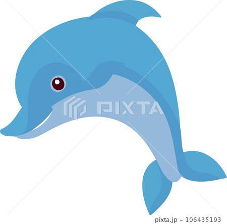 aquatic animal dolphin blue fluffy aquatic animal dolphin blue fluffy 106435193