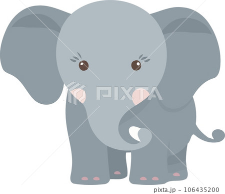 animal mammal elephant cute animal mammal elephant cute 106435200