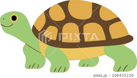 animal reptile turtle cute 106435230
