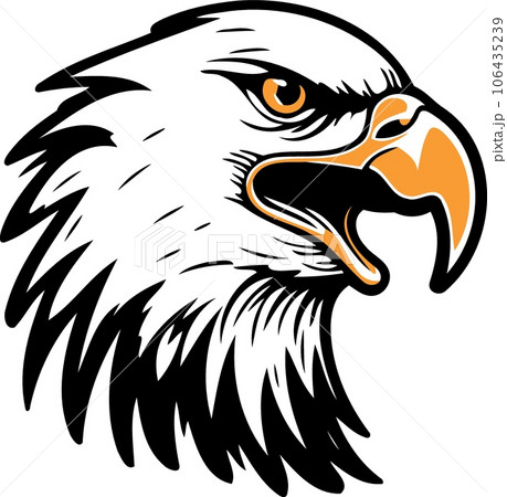 eagle bird head black white and yellow eagle bird head black white and yellow 106435239