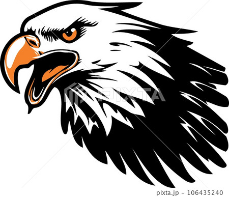 eagle bird head black white and yellow eagle bird head black white and yellow 106435240