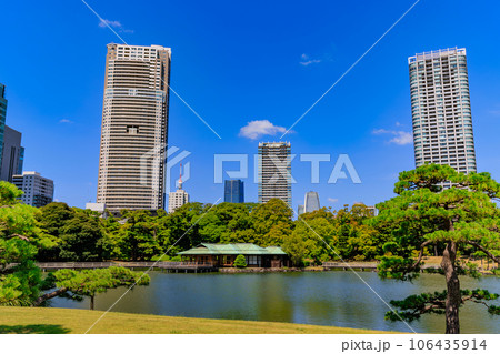 東京　中央区　浜離宮恩賜庭園　潮入の池と高層ビル 106435914