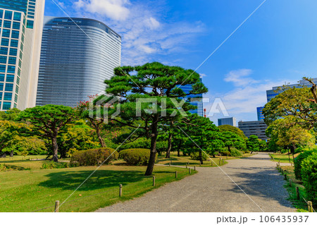 東京　中央区　浜離宮恩賜庭園から見た汐留の高層ビル 106435937