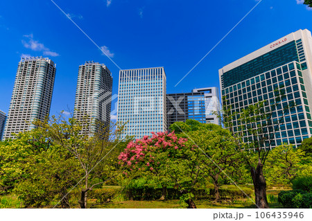 東京　中央区　浜離宮恩賜庭園から見た汐留の高層ビル 106435946