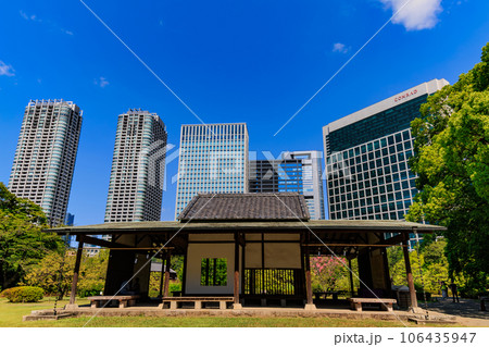 東京 中央区 浜離宮恩賜庭園から見た汐留の高層ビル 東京 中央区 浜離宮恩賜庭園から見た汐留の高層ビル 106435947