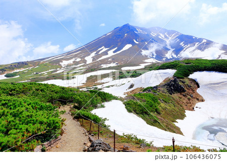 北海道紀行 6月の旭岳 姿見の池ハイキング 北海道紀行 6月の旭岳 姿見の池ハイキング 106436075