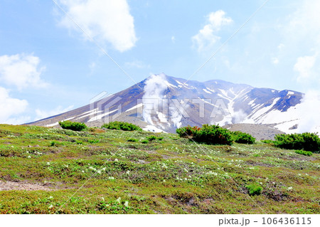 北海道紀行　  6月の旭岳　　姿見の池ハイキング 106436115