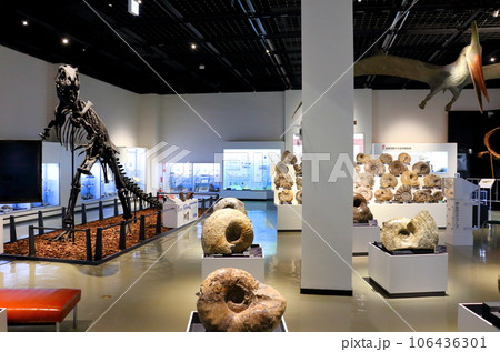 北海道紀行 三笠市立博物館 アンモナイト展示 北海道紀行 三笠市立博物館 アンモナイト展示 106436301