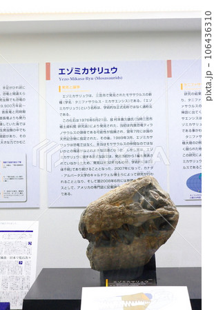 北海道紀行 三笠市立博物館 アンモナイト展示 北海道紀行 三笠市立博物館 アンモナイト展示 106436310