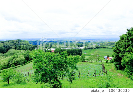 北海道紀行 三笠市の達布山エリア 北海道紀行 三笠市の達布山エリア 106436339