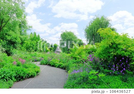 北海道紀行　　6月の上野ファーム　　午前のガーデン 106436527