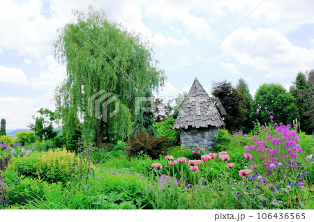 北海道紀行　　6月の上野ファーム　　午前のガーデン 106436565