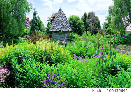 北海道紀行 6月の上野ファーム 午前のガーデン 北海道紀行 6月の上野ファーム 午前のガーデン 106436645