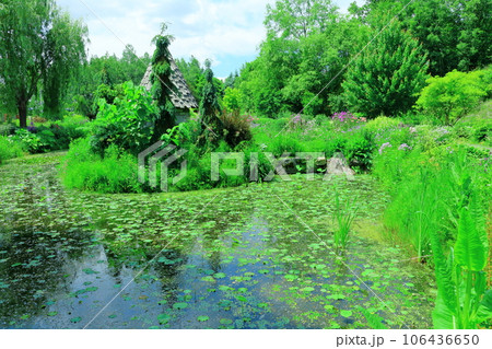 北海道紀行　　6月の上野ファーム　　午前のガーデン 106436650