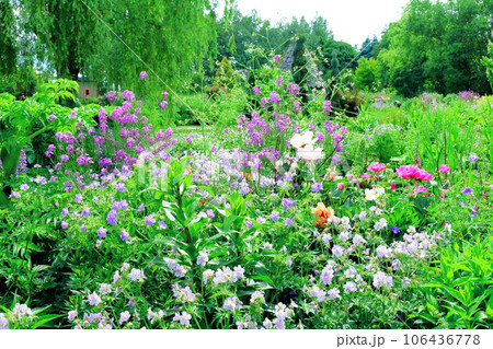 北海道紀行 6月の上野ファーム 午後のガーデン 北海道紀行 6月の上野ファーム 午後のガーデン 106436778