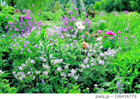 北海道紀行 6月の上野ファーム 午後のガーデン 北海道紀行 6月の上野ファーム 午後のガーデン 106436779