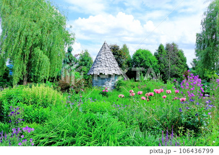 北海道紀行　　6月の上野ファーム　　午後のガーデン 106436799