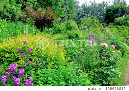 北海道紀行  6月の上野ファーム  午後のガーデン 北海道紀行  6月の上野ファーム  午後のガーデン 106436815