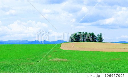 北海道紀行　　6月の新栄の丘 106437095