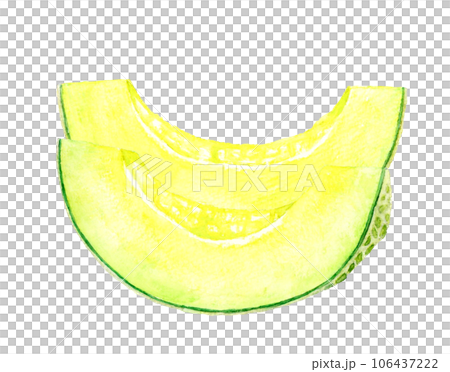 Hand-drawn watercolor illustration of cut melon fruit 106437222